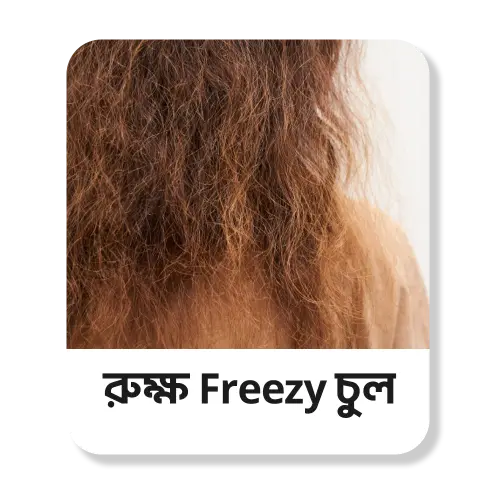 রুক্ষ Freezy চুল
